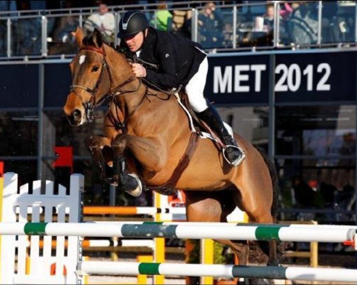 broodmare Nikyta D'Elle (Selle Français, 2001, from Richebourg)