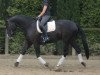 dressage horse Encanto Nemo (Westphalian, 2008, from Ehrenpreis)