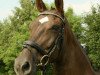 broodmare Wally (Hanoverian, 1995, from Wanderbursch II)