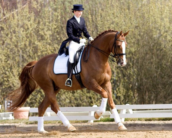 dressage horse Walk On Top K (Hanoverian, 2005, from Worldly I)