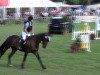 jumper Real Luck (Hanoverian, 2003, from Rabino)