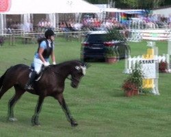 jumper Real Luck (Hanoverian, 2003, from Rabino)