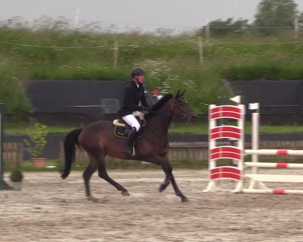 Reitturnier Schülp / Rendsburg 2022