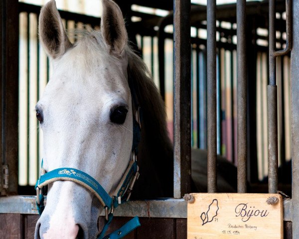 broodmare Bijou (German Riding Pony, 1994, from Bavarottie)