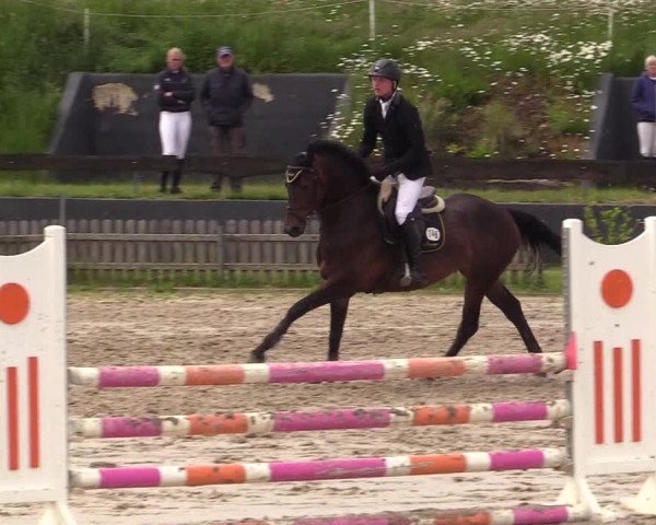 Reitturnier Schülp / Rendsburg 2022