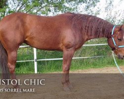 broodmare Pistol Chic (Quarter Horse, 2005, from Custom Pistol)