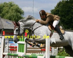 horse Centime Z (Zangersheide riding horse, 1998, from Carthago)