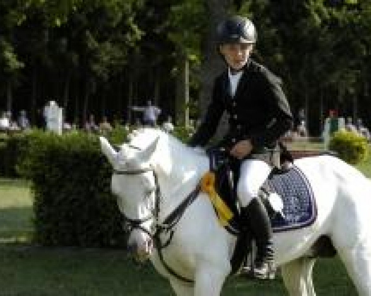 stallion Bol.Titano M. (German Riding Pony, 1995, from Bolster Spark)