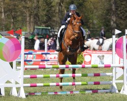 dressage horse Fiancé 2 (Oldenburg, 2008, from Fidertanz)