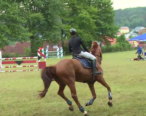 Reitturnier Neustadt/Aisch/Mfr. 2022