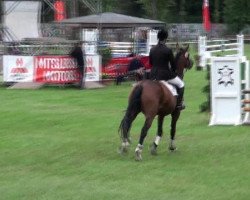 broodmare Larissa K (Saxony-Anhaltiner, 2000, from Lafitte)