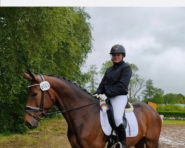 dressage horse Shisha Lady Silverbrownie (Rhinelander, 2018, from San Heinrich)