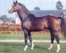 stallion Grand Bonheur (Selle Français, 1972, from Ibrahim AN)