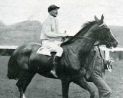 stallion Scaramouche xx (Thoroughbred, 1921, from Durbar II xx)