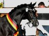 Deckhengst Bünteeichen Ricardo (Deutsches Reitpony, 2008, von Proud Rocketti)