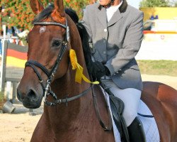 jumper Coletto Z (Zangersheide riding horse, 1999, from Literat)