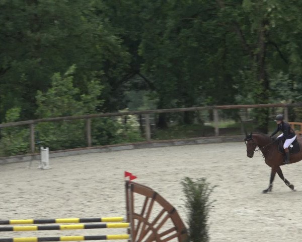 Reitturnier Erkrath - Uhlenhof 2022