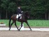 dressage horse Wijnschenk's Riven Rock (KWPN (Royal Dutch Sporthorse), 1998)