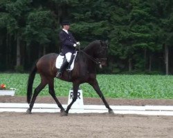 dressage horse Wijnschenk's Riven Rock (KWPN (Royal Dutch Sporthorse), 1998)