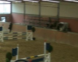 jumper Lorenzo L 2 (Hessian Warmblood, 1993, from Lordon)