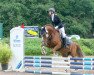 dressage horse Duty Free SI (German Riding Pony, 2014, from Dressman)