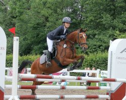 jumper Schlaggerhof's Dallas (German Riding Pony, 2008, from Deister)