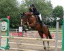 jumper Crazy Love M (Danish Warmblood, 2016, from Carleyle)