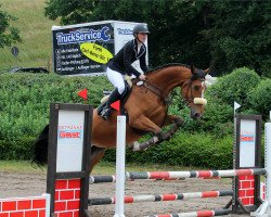 jumper Gality (Zangersheide riding horse, 2011, from Gaillard de La Pomme)