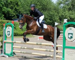 jumper Kyra Suuri (Hanoverian, 2016, from Kaiserkult TSF)