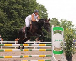 dressage horse Paradis pour l'Amour (German Riding Pony, 2017, from No Limit)