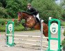 jumper Contendrus 5 (Oldenburg show jumper, 2013, from Contendro I)