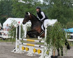 jumper Carisma Z (Württemberger, 2008, from Chequille)