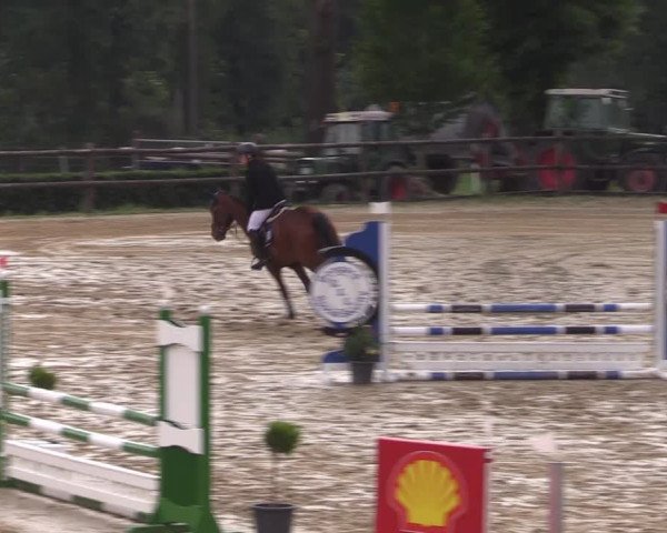 Reitturnier Reken 2022