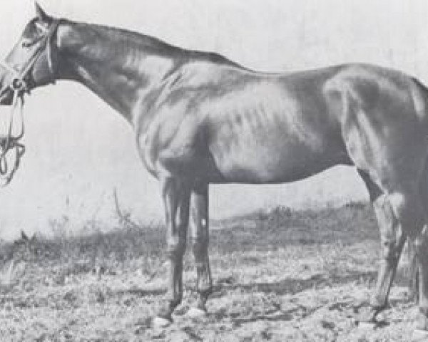 horse Royal Wash xx (Thoroughbred, 1968, from Sovereign Path xx)