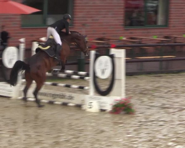 Reitturnier Reken 2022
