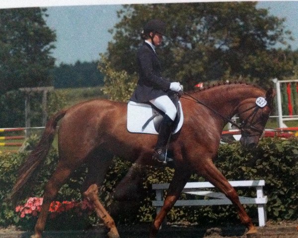 broodmare Hera (Oldenburg, 1997, from Westminster)