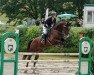 jumper Charouet (Oldenburg show jumper, 2009, from Chacco-Blue)