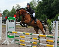 jumper Crispie S (German Sport Horse, 2012, from Ciacomo)