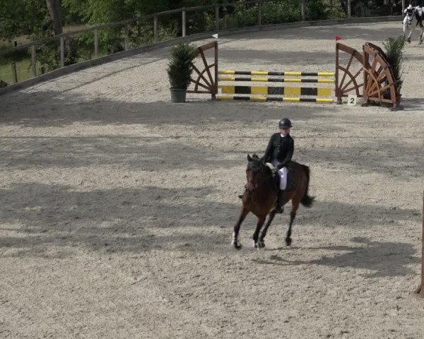 Reitturnier Erkrath - Uhlenhof 2022