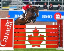 jumper Northern Light (Swedish Warmblood, 2011, from Plot Blue)