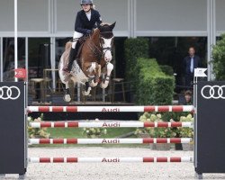 Springpferd Nindiana van den Berg (Belgisches Warmblut, 2013, von Emerald van 't Ruytershof)