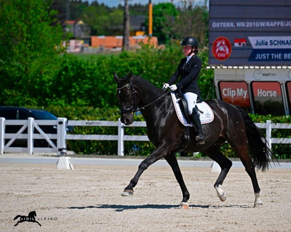 dressage horse Just The Best M (Austrian Warmblood, 2010, from Glock's Johnson Tn)