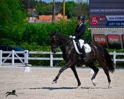 dressage horse Just The Best M (Austrian Warmblood, 2010, from Glock's Johnson Tn)