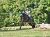 dressage horse Hajabusa (Polish Warmblood, 2005, from Mariensztat xx)