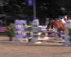 Springpferd Mitkommen SGN (Deutsches Reitpony, 2005, von Martini)