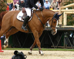 Springpferd Vacharco (Belgisches Warmblut, 1998, von Darco)