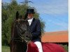 dressage horse Lautrec (Bavarian, 2000, from Lord Sinclair I)