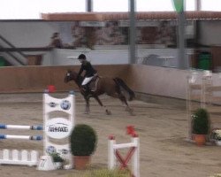 jumper Paula Finess (Nederlands Welsh Ridepony, 2006, from Kielshoop Honeyhill)