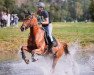 dressage horse Holy Smoke III (KWPN (Royal Dutch Sporthorse), 2012, from Jazz)