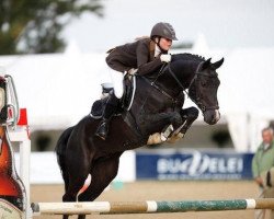 Deckhengst Bentley HS (Deutsches Reitpony, 2004, von Burlington S)